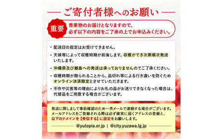 三関産 さくらんぼ 紅秀峰 500g (250g×2) 2L以上 さくらんぼ 秋田県産 小分け さくらんぼ 佐藤錦 さくらんぼ バラ詰め さくらんぼ フルーツ さくらんぼ[B5-14602]