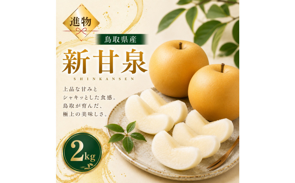 山根農園 新甘泉 2kg【2026年8月下旬以降発送】 313726_CY021