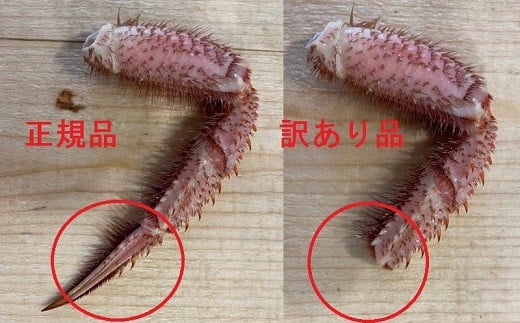 正規品として市場に流通できない毛がにが含みます。