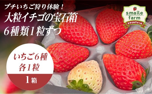 
                  プチいちご狩り体験！大粒イチゴの宝石箱 6種類1粒ずつ FAF-0045
                