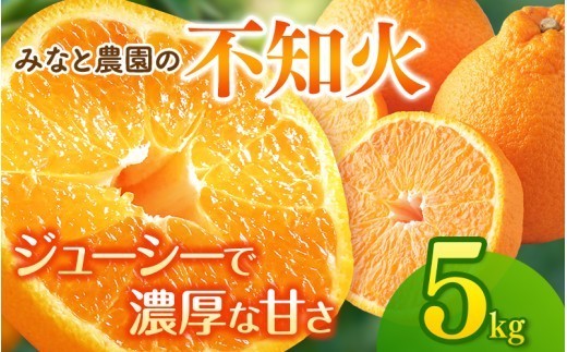 【数量限定】不知火 みなと農園の不知火 約5kg 【2027年2月下旬頃〜順次発送】 不知火デコポン みかん ミカン 蜜柑 しらぬい シラヌイ 柑橘 フルーツ 果物 くだもの 甘い 旬 不知火 人気 果汁 濃厚 産地直送 国産 お取り寄せ 期間限定 三重県 熊野市【mntf0013】
