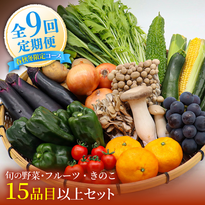 【春秋冬限定コース】豪華！野菜 果物 きのこセット 15品目以上 9回定期便 / 野菜定期便 やさい定期便 フルーツ 果物 キノコ 詰め合わせ / 南島原市 / 吉岡青果 [SCZ024]