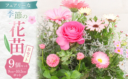 フェアリーな花苗セットB｜花苗 ギフト ガーデニング