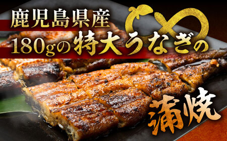 【12回定期便】 国産 うなぎ 本格炭火焼 蒲焼 3尾（140g×2 / 特大180g×1） /炭火焼古賀 [UDH016] 手焼きうなぎ 特大うなぎ 蒲焼うなぎ うなぎ3尾 うなぎ計36尾 冷凍うな