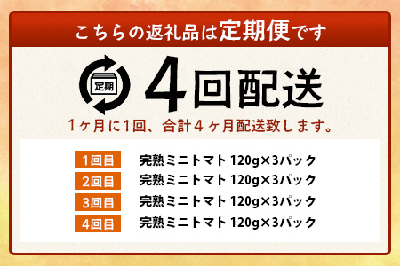 【4回定期便】【先行受付】2027年1月より順次発送予定【少量パック】完熟ミニトマト 360g (120gx3p) 野菜 農家直送 佐賀県鹿島市 たにぐちファームRicotomato～とりこになるトマト～E-160