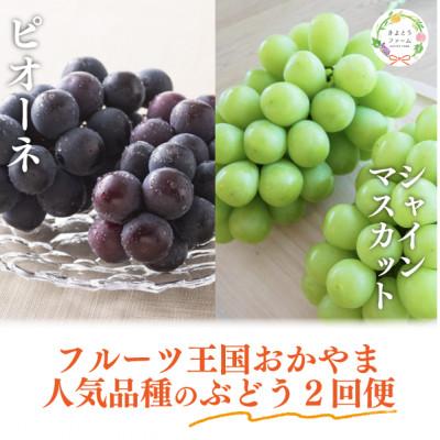 ふるさと納税 真庭市 【発送月固定定期便】ピオーネとシャインマスカット 各大2房入 人気ぶどうの定期便(岡山産)全2回