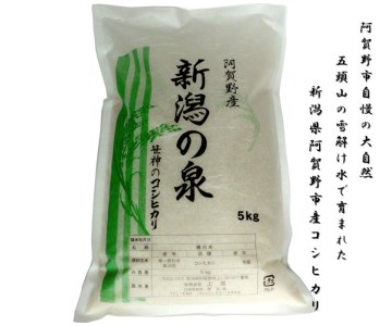 【令和7年産新米予約】コシヒカリ 「新潟の泉」 5kg 旧笹神村産 上泉 農家直送 コメドック 金賞 9月下旬発送予定  1Q01019