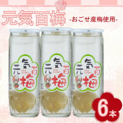 【ふるさと納税】元気百梅　6本入り【1640856】