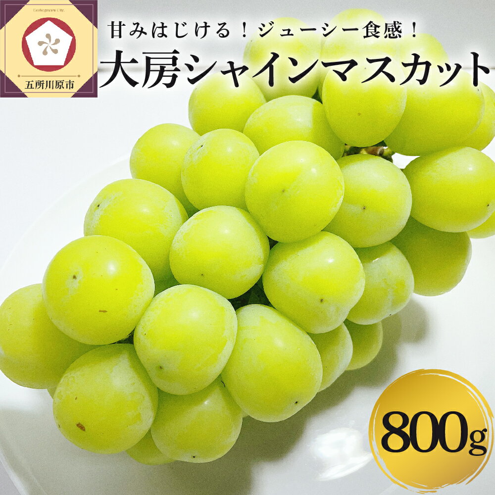 【ふるさと納税】 シャインマスカット 大房 800g 青森産 【 配送時期が選べる 11月 12月 】青森県 五所川原市