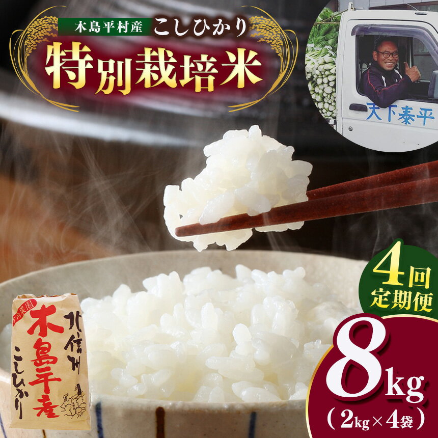 【ふるさと納税】 【 4回 定期便 】特別栽培米 こしひかり 8kg×4回（竹内農園）| 米 こしひかり コシヒカリ 定番 品種 特別栽培 寒暖差 木島平村 長野県 信州