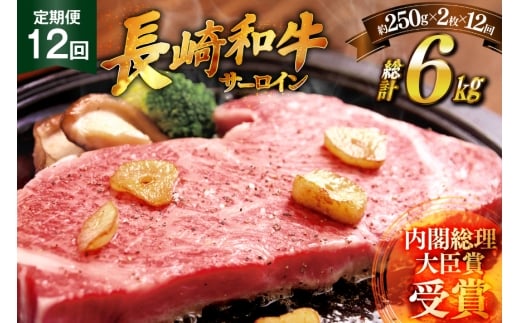 和牛 ステーキ 長崎和牛 サーロイン 250g 2枚 ソース付き 12回 定期便 計6kg [萩原食肉産業 長崎県 平戸市 hr42bgy410030] 肉 牛肉 焼肉 にく 平戸 希少 鉄板焼き