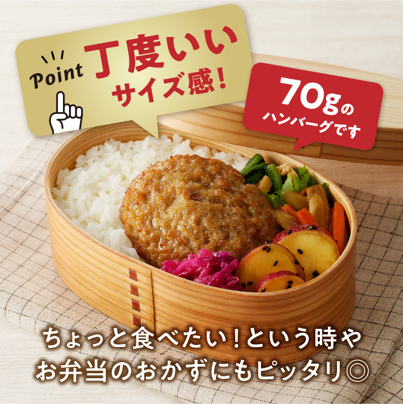 【伊万里牛100％使用】 伊万里牛 ハンバーグ 約70ｇ×14個 計約980ｇ 真空・個包装　J1117_イメージ5