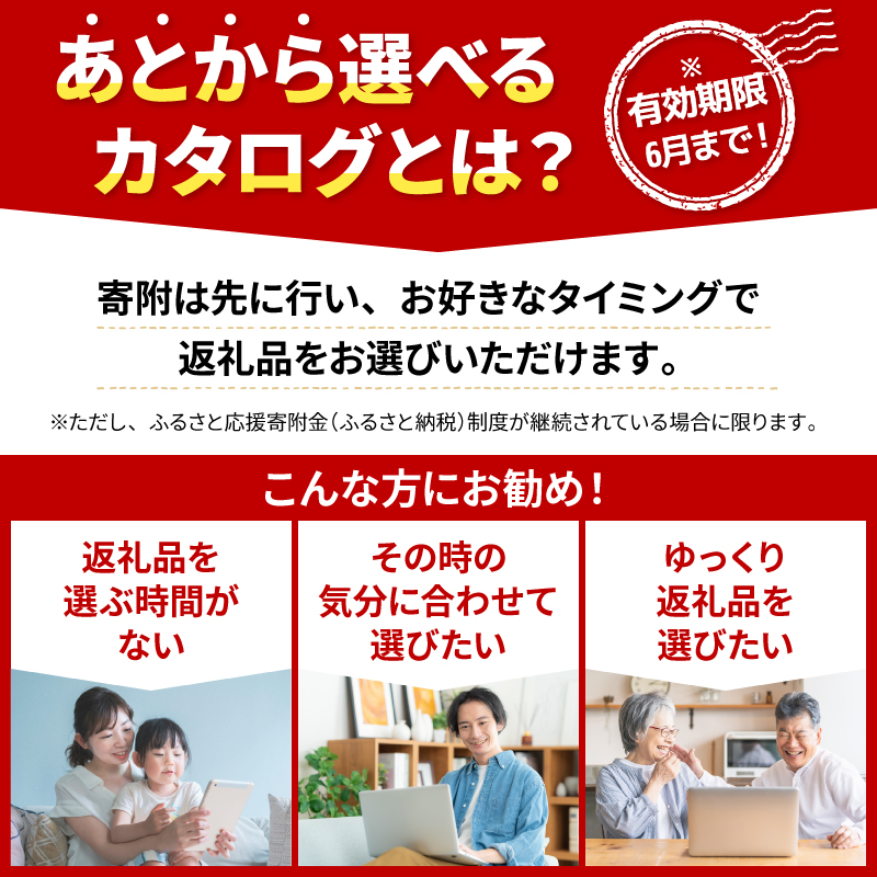 【 オンラインで完結 】ゆっくりえらべる カタログ 100万円 コース あとから選べる 鮮魚 肉 米 酒 定期便 スイーツ フルーツ 選べる ギフト セレクト 【 徳島県 阿波市 】