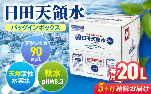 【全5回定期便】日田天領水 20L×1箱 飲料水 水 みず 備蓄 防災 天然水 天然 ミネラルウォーター みねらるうぉーたー ミネラル シリカ日田市 / グリーングループ株式会社[AREG009]