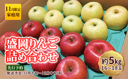 訳あり 盛岡りんご りんご 5kg 16～18個 家庭用 11月限定 下久保農園 shitakubo003