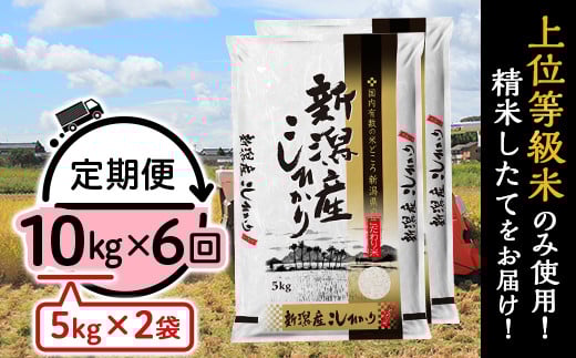 
            K106【6ヶ月連続お届け】新潟県産コシヒカリ10kg（5kg×2袋）
          