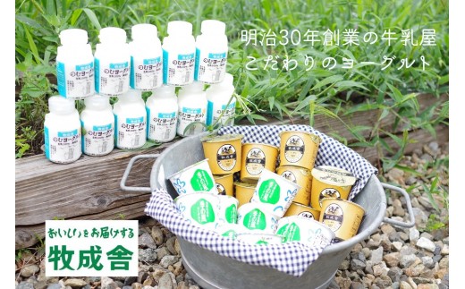 明治30年創業の牛乳屋の牛乳屋の飛騨産生乳で作る ヨーグルト盛りだくさんセット