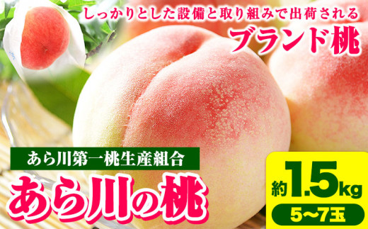【先行予約】あら川の桃 約1.5kg (5-7玉) あら川第一桃生産組合《6月下旬から8月下旬頃出荷》 和歌山県 紀の川市 あら川の桃 モモ 桃 もも