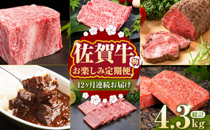 
【全12回定期便】毎月お届け！佐賀牛 お楽しみ定期＜梅＞【Trade com 8】 [HBO004]

