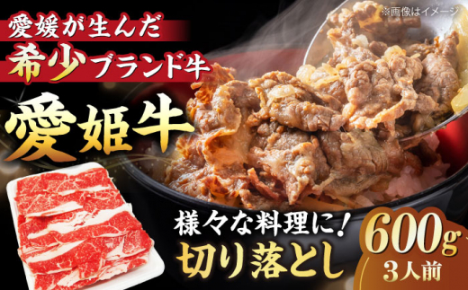 【お中元対象】【冷凍】 国産 牛肉 『愛姫牛』切り落とし 600g （3人前）愛媛県大洲市/有限会社 木村屋精肉店 [AGCC029] 牛肉 焼肉 ブランド牛 ブランド牛肉 肉 牛 国産牛 切り落とし 和牛 しゃぶしゃぶ 鍋