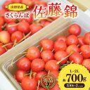 【ふるさと納税】【先行予約 令和7年度発送】山形県産 さくらんぼ 佐藤錦 約700g（350g×2パック）秀品以上 L～2Lサイズ FSY-0690
