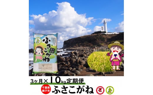 3ヶ月定期便 新米 令和6年産 お米 ふさこがね 10kg（5kg×2袋）