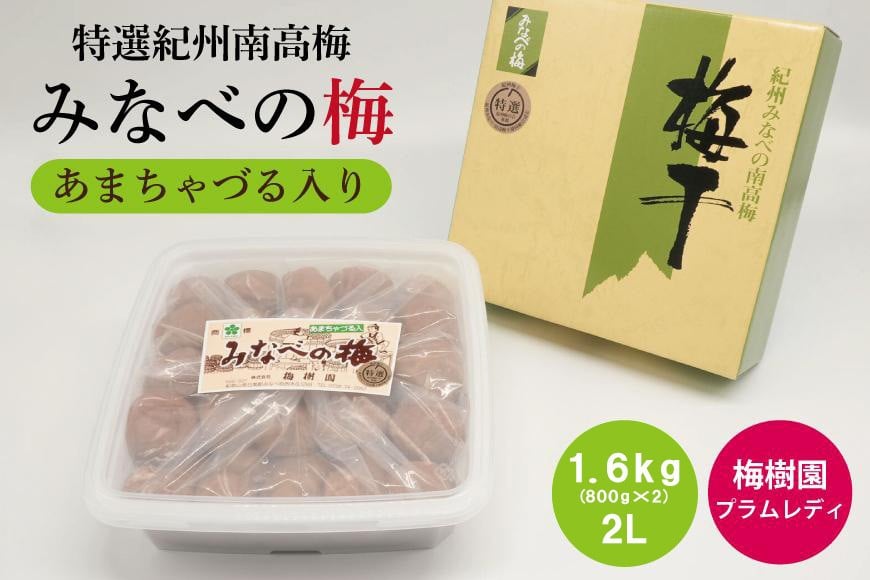 
            【特選】みなべの梅(あまちゃづる) 1.6kg 2L（800g×2個） B-033
          
