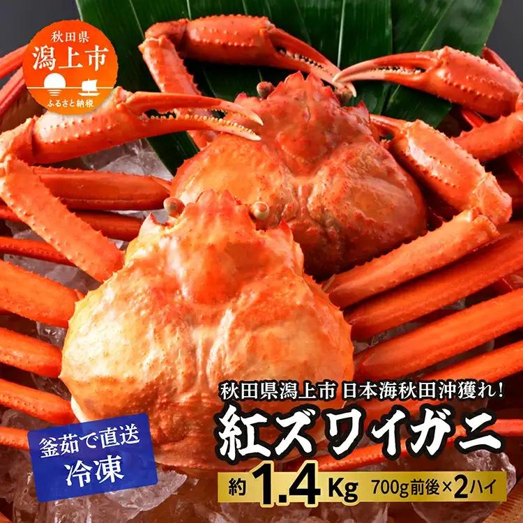 紅ズワイガニ 冷凍 2匹 1.4kg【安田水産】