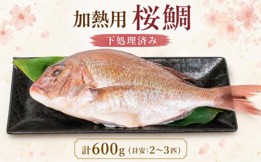 訳あり 加熱用 真鯛 大きさ不揃い 下処理済み 約600g 冷凍 2~3匹 桜鯛 魚介類 魚貝類 マダイ 規格外 わけあり 煮付け 塩焼き サクラダイ 不ぞろい 新鮮 タイ 簡単調理 便利 海鮮 高級 海産物 まだい 数量限定 期間限定 鯛 海の幸 焼き魚 焼魚 鮮魚 愛知県 南知多町 人気 おすすめ