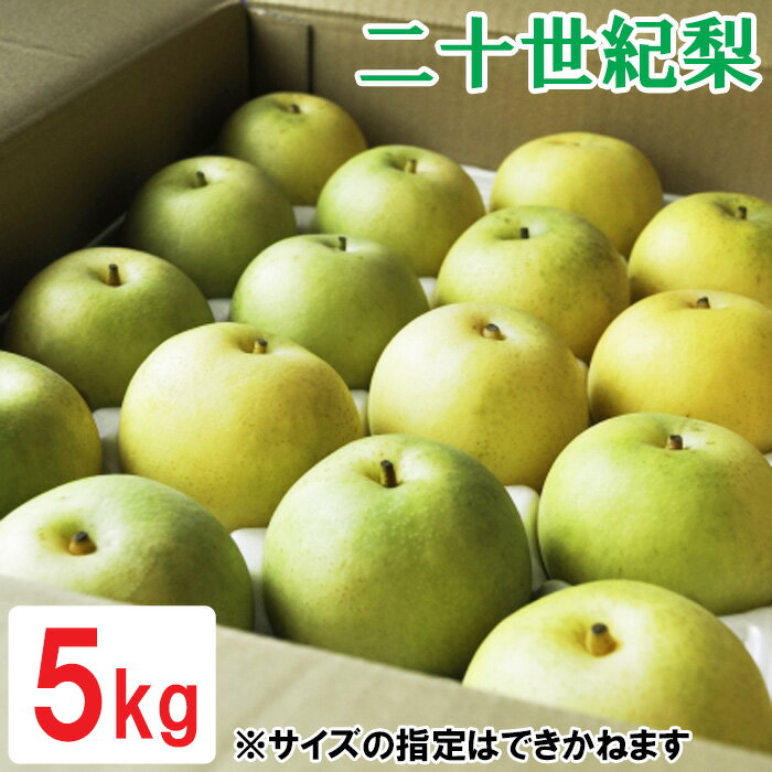 【ふるさと納税】鳥取県産 二十世紀梨　5kg　OK03