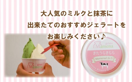 アイス ジェラート 8種8個 アイス EP