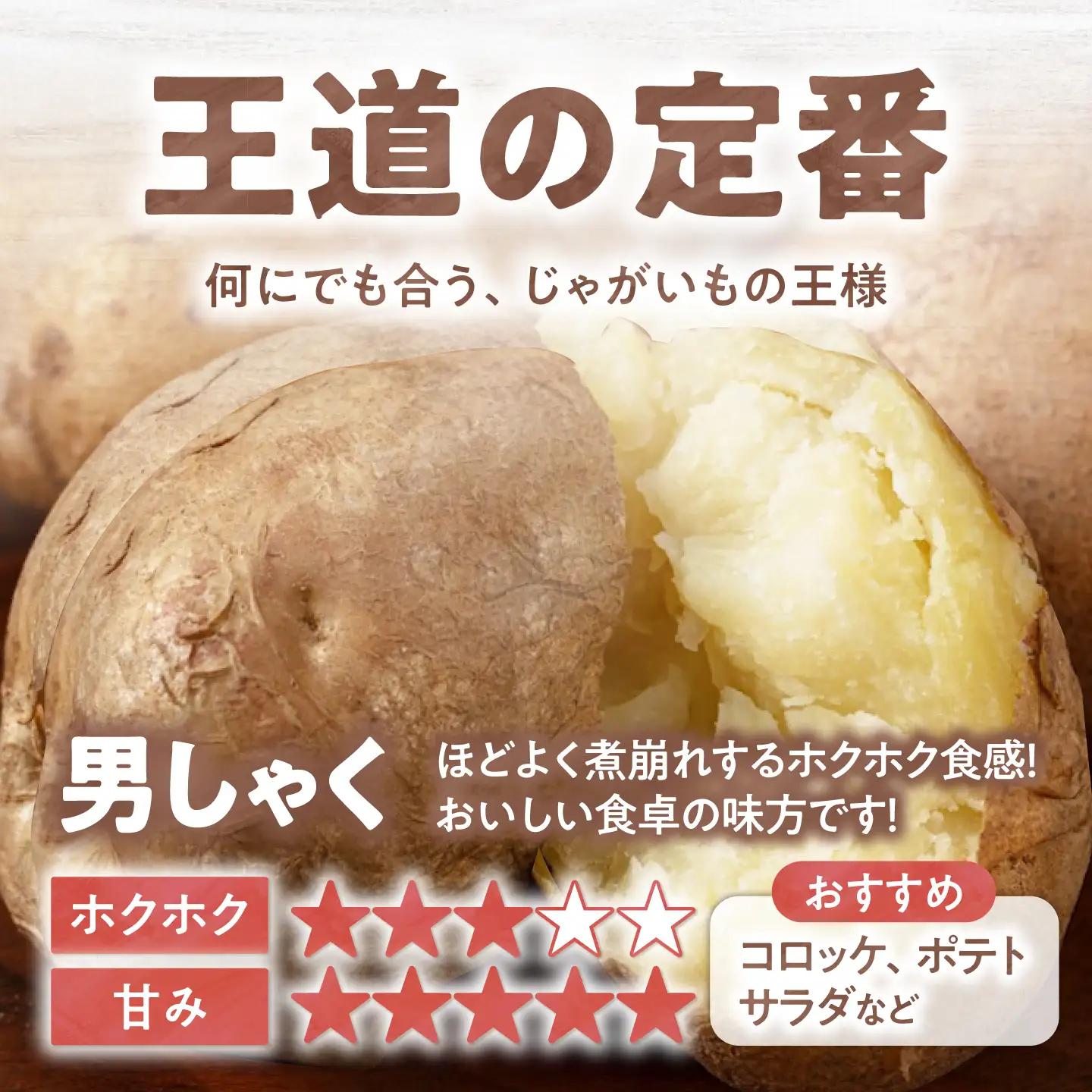 【全3回定期便】【10月〜12月発送】じゃがいも  [AJAK022] 男爵芋 20kg
