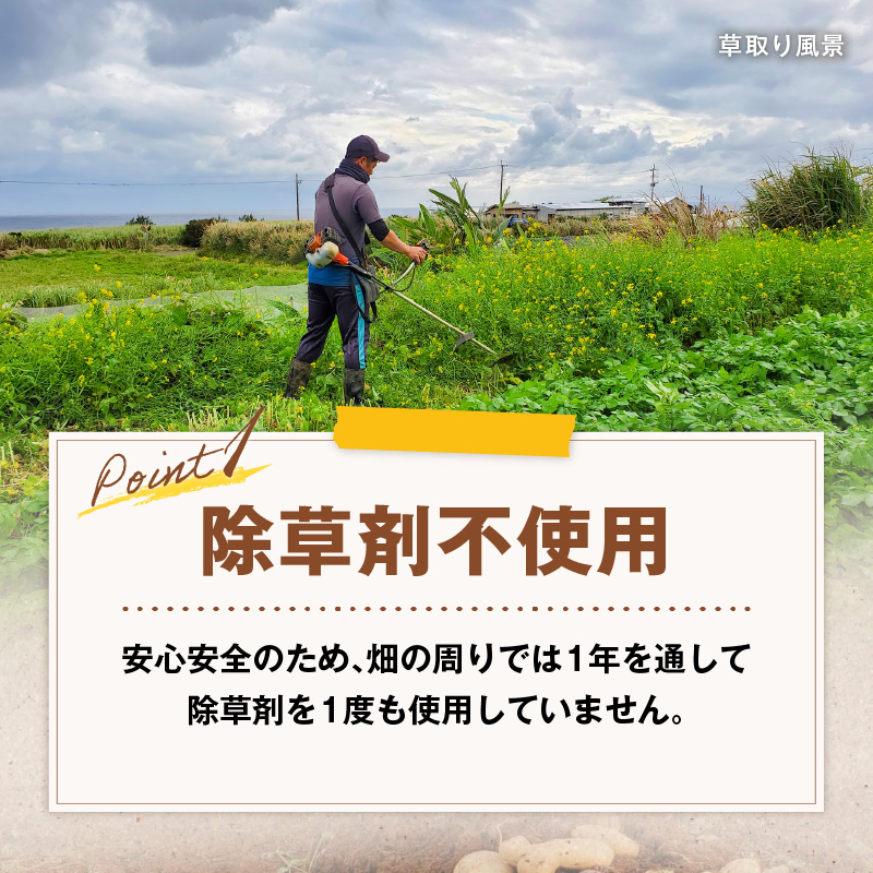 【2026年先行予約】前原さんの特選じゃがいも ゴールド8kg　C062-001