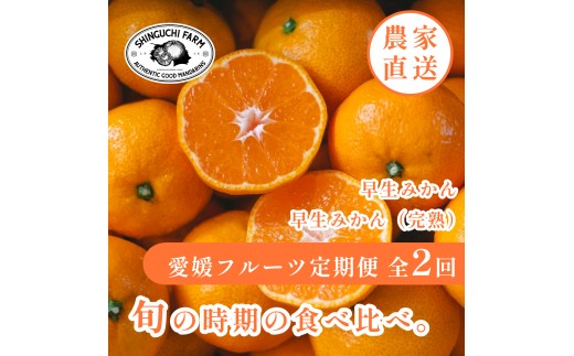 【発送月固定定期便】「時期による味の違いを楽しむ」愛媛みかんの旬を食べ比べ【F70-81】全2回【4067806】 YWTK080