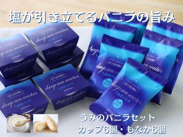 【ふるさと納税】塩バニラアイス 12個セット 室戸海洋深層水仕込み 無添加 ご当地スイーツ もなか＆カップ 高知 アイスクリーム 送料無料 ギフト対応