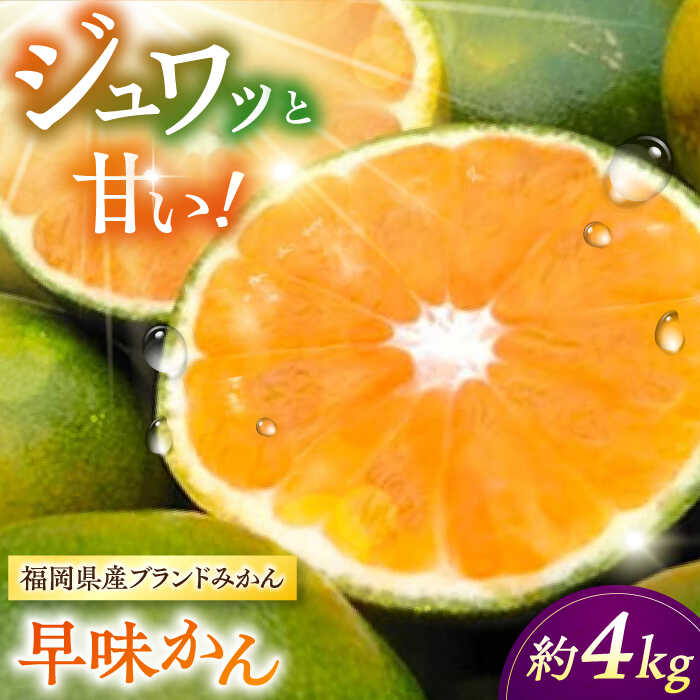 【ふるさと納税】【2025年9月中旬より発送】福岡産ブランド みかん 早味かん 約4kg ▼ 果物 ミカン フルーツ 九州産 国産 人気 おすすめ ランキング 高評価 桂川町/南国フルーツ株式会社[ADBW023]