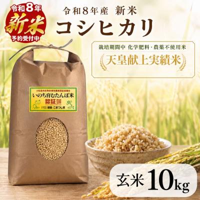 ふるさと納税 小松島市 【令和8年産新米】玄米 コシヒカリ 10kg 天皇献上米 (栽培期間中)化学肥料・農薬不使用米 玄米