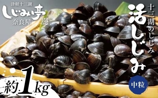 十三湖のしじみ 活しじみ 中粒 約1kg 【奈良屋】 蜆 シジミ 魚貝類 貝 オルニチン 十三 F6N-162