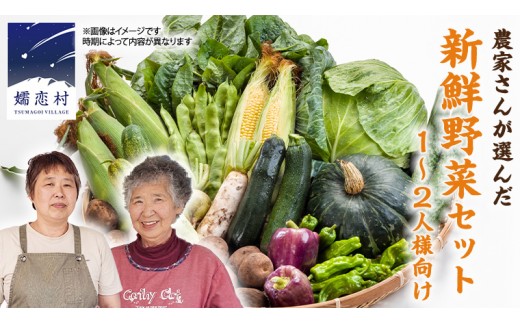
                  【 2026年 8月上旬 発送開始 】キャベツ 入り！農家さんが選んだ 新鮮 高原 野菜 セット 1～2人様向け 先行予約  キャベツ 群馬 野菜 セット 産地直送 詰め合わせ アソート 期間限定 少量 [AN001tu]
                
