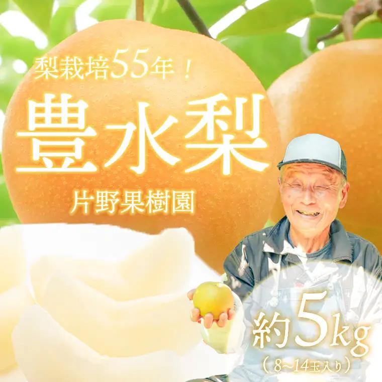 豊水梨 約5kg 09月下旬発送  梨 先行受付