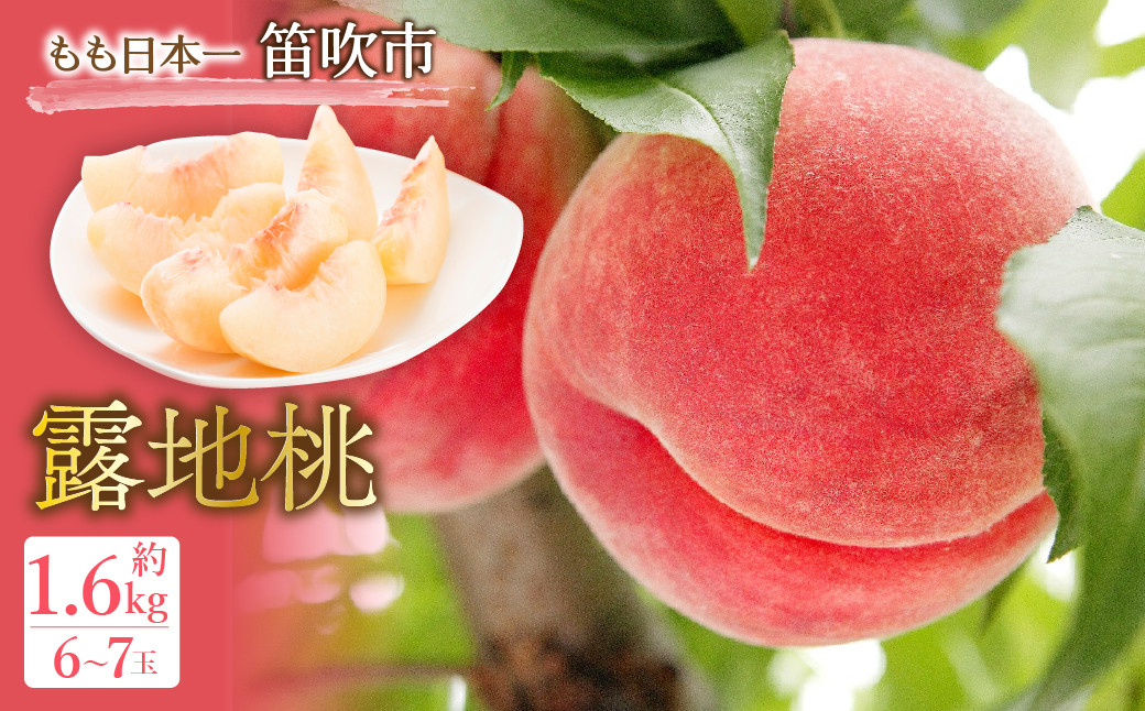
            JAふえふき露地桃6-7玉（約1.6kg） 010-012
          