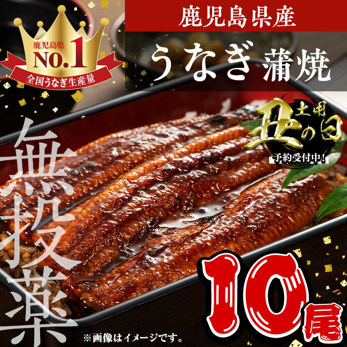 【ふるさと納税】＜丑の日先行予約受付中！＞鹿児島県産うなぎ蒲焼 (1尾あたり136g〜155g×10尾、タレ・山椒付き) 鰻 ウナギ うな重 ひつまぶし かばやき 九州産 国産 冷凍 【西日本養鰻】