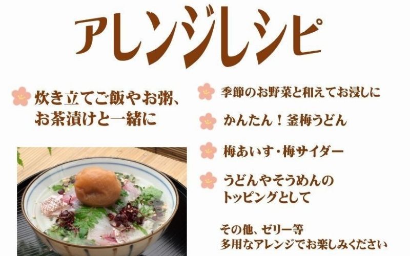 紀州南高梅 はちみつ（塩分約10%） 500g　　【yamada017】