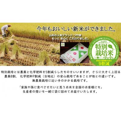 ふるさと納税 山形市 令和7年産 つや姫 5kg (玄米) 特別栽培米  FY25-126 |  | 02