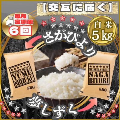 ふるさと納税 江北町 【毎月定期便】食べ比べ白米5kg(さがびより・夢しずく)(江北町)全6回
