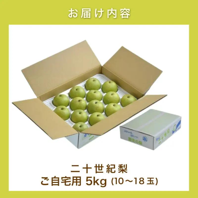 【先行予約】2026年度産 梨 二十世紀梨 ご自宅用 優品（Bランク）5kg L～5Lサイズ混合 【令和8年8月下旬以降発送予定】 20世紀梨 フルーツ 果物  12-20