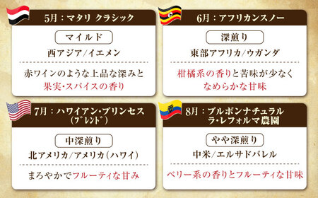 【全12回】能美島ビターブレンドセット コーヒー豆or粉 全13種 コーヒー[XBE085]