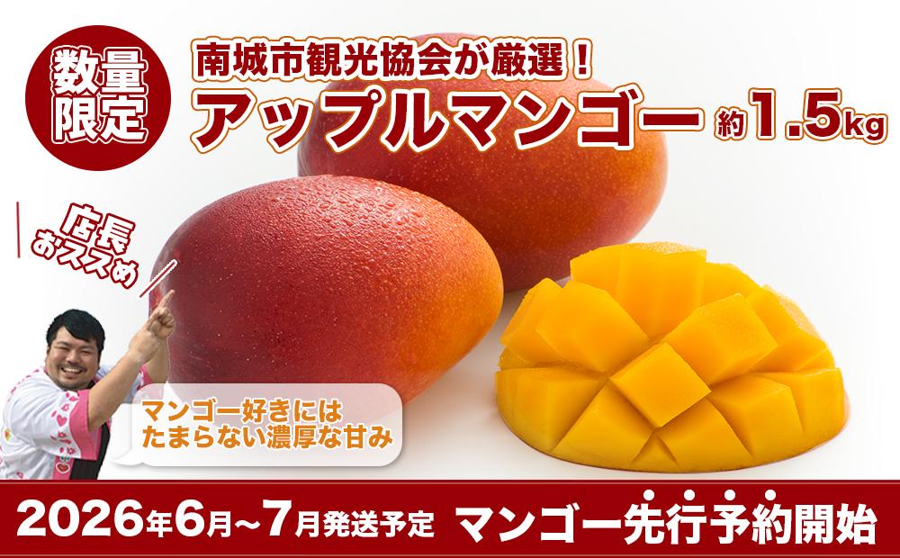 【ふるさと納税】【2026年発送・先行予約】南城市観光協会が厳選！プレミアムアップルマンゴー約1.5kg