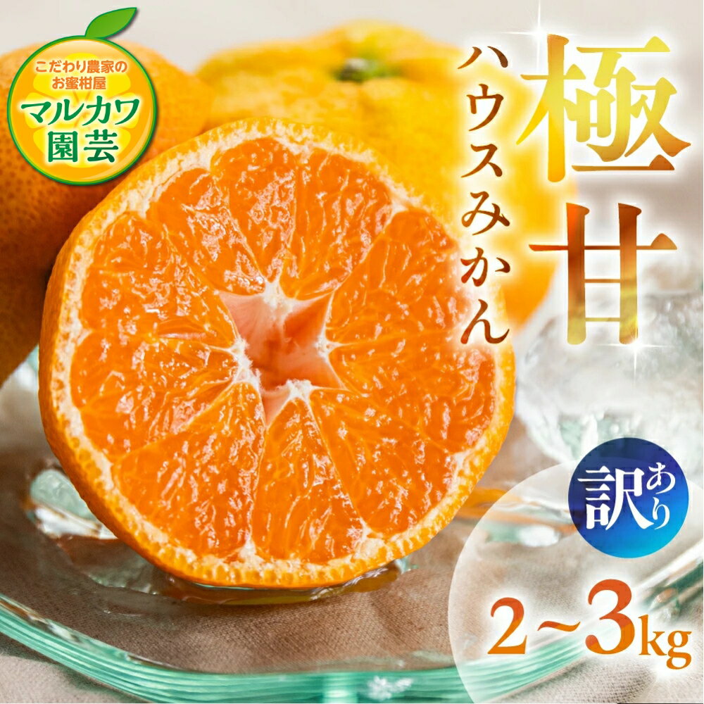 【ふるさと納税】≪先行予約 2026年発送≫ ハウスみかん 蜜ツ星 家庭用【選べる 2kg ~ 3kg】みかん 高級 高糖度 わけあり 贅沢 蜜柑 ミカン 果物 柑橘 フルーツ 季節限定 サイズ バラ おまかせ 訳あり 詰め合わせ 愛知県 豊橋 マルカワ園芸 こだわり農家のお蜜柑屋