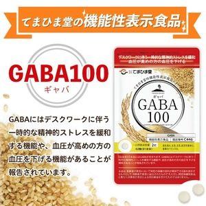 No.1286-A ＜定期便・全3回(隔月)＞GABA100(1袋 62粒入・2袋×3回 計6袋) 鹿児島 日置市 健康食品 機能性表示食品 サプリ 栄養バランス 食生活 安心安全 デスクワーク スト